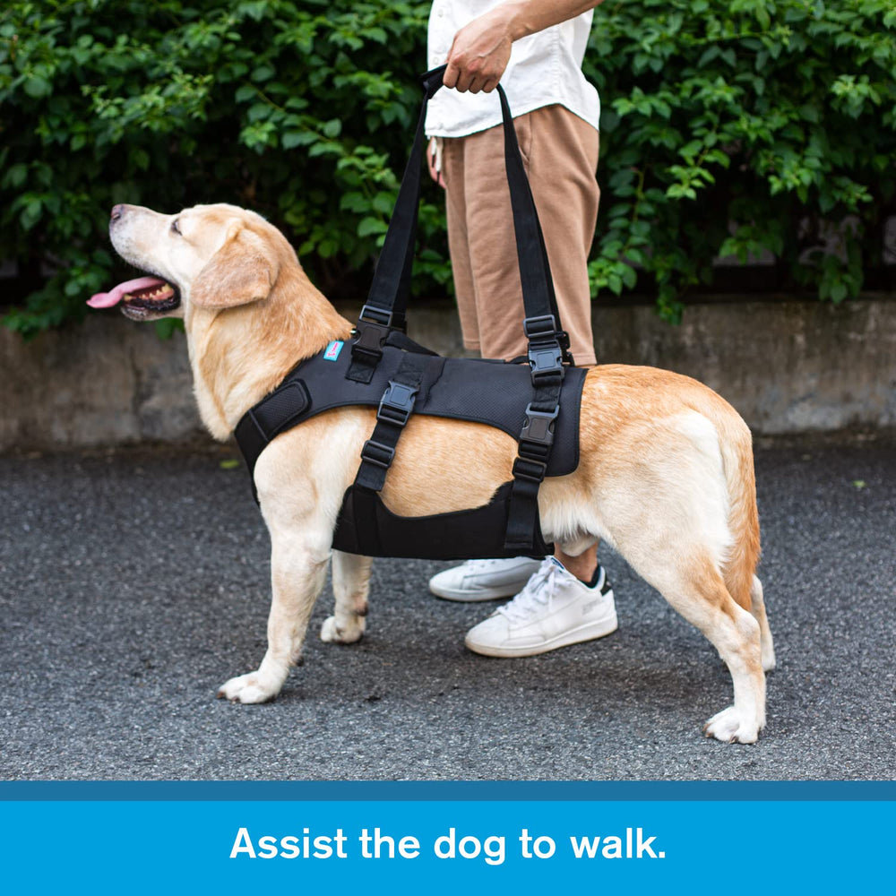 Yrenoer dog lift harness breathable materials keep dogs comfortable.