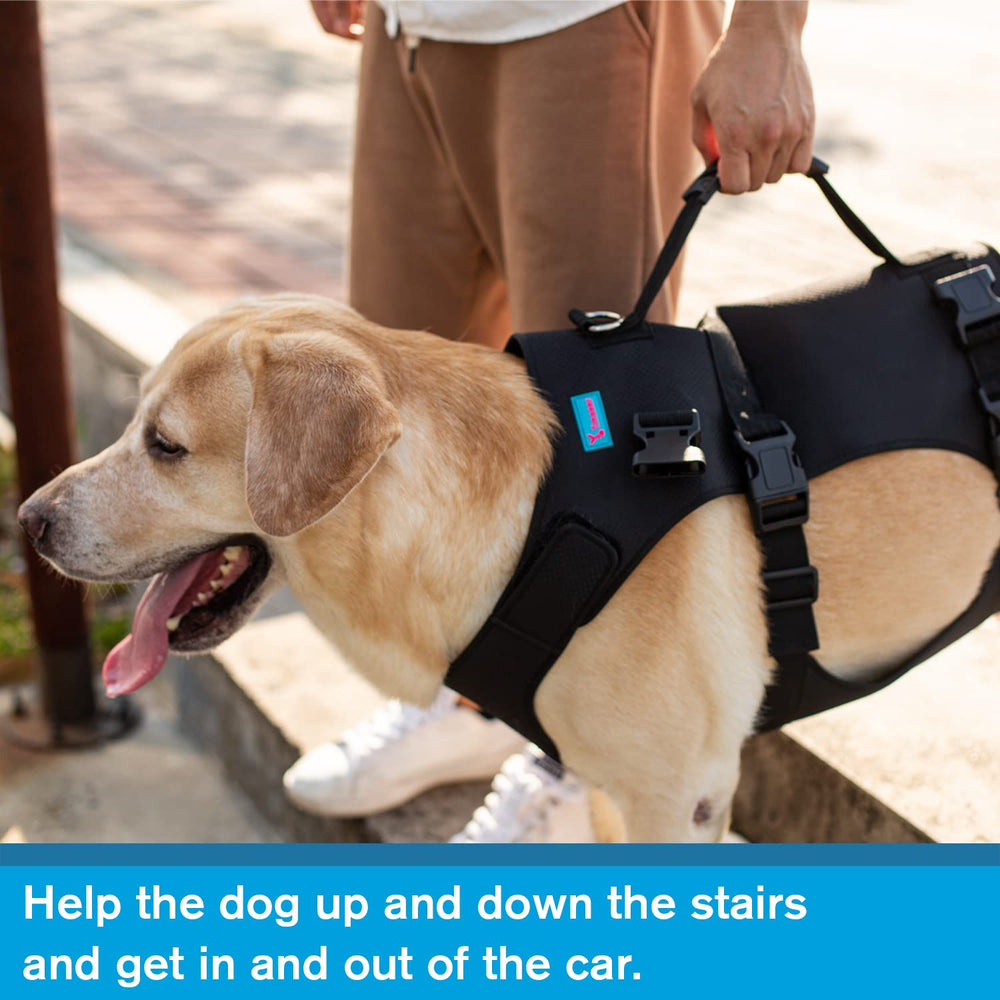 Yrenoer dog lift harness car-transfer aids loading into vehicles.
