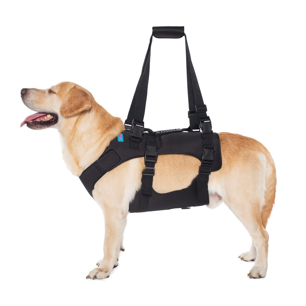 Yrenoer dog lift harness full-body support for aging dogs.