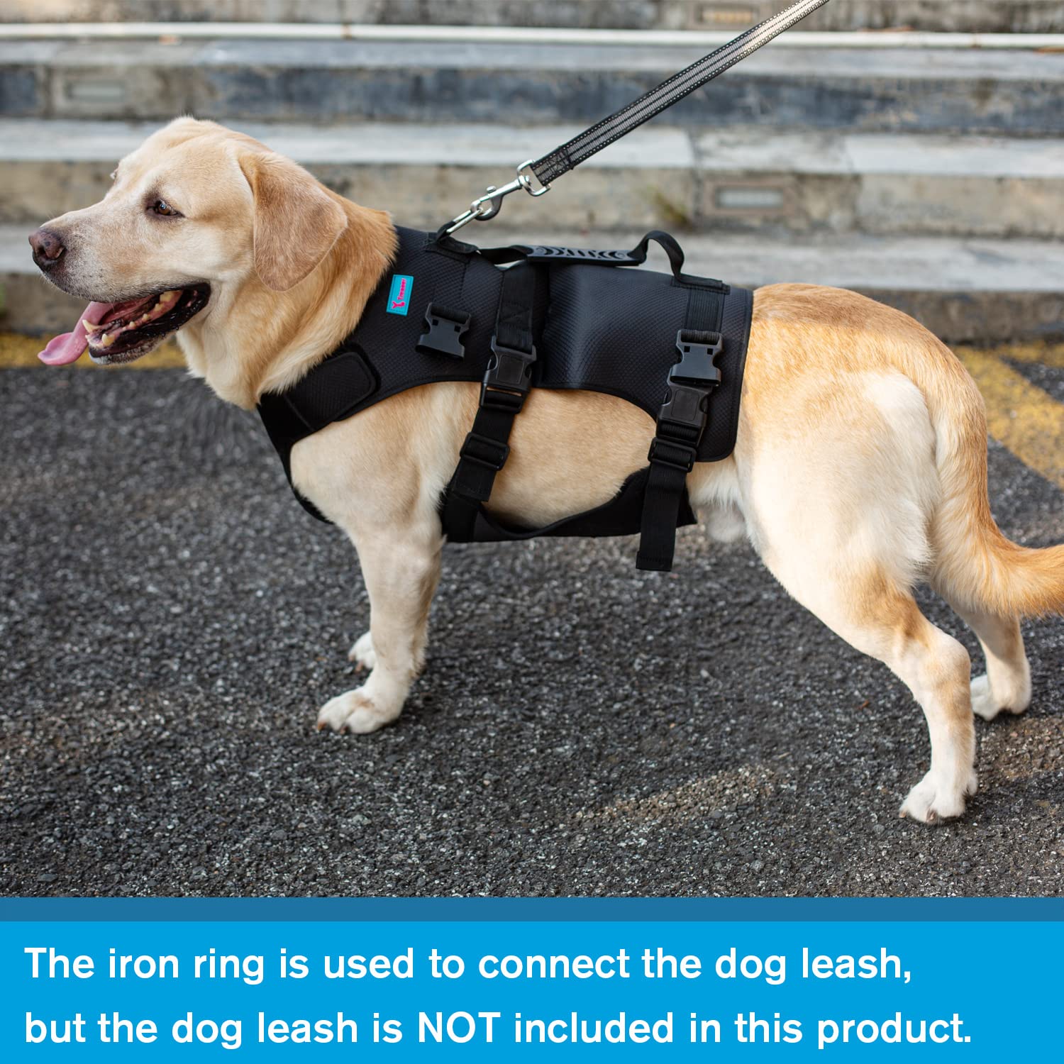 Yrenoer dog lift harness on stairs enables easier navigation.