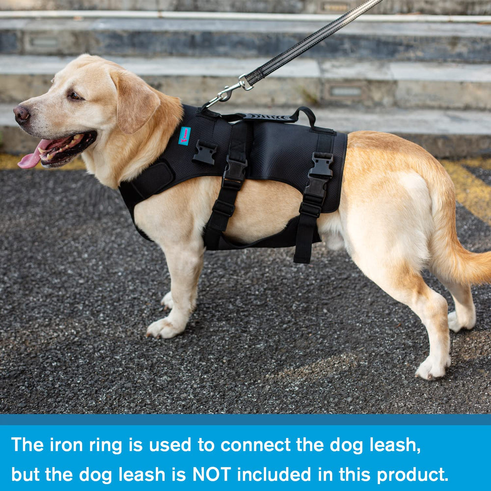 Yrenoer dog lift harness on stairs enables easier navigation.