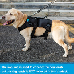 Yrenoer dog lift harness on stairs enables easier navigation.