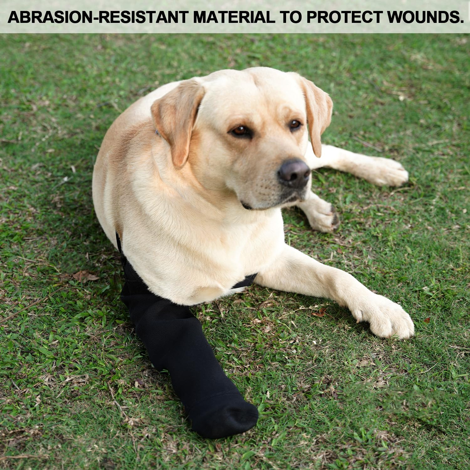 yrenoer dog recovery socks patented-design reflects vet-informed comfort and protection.
