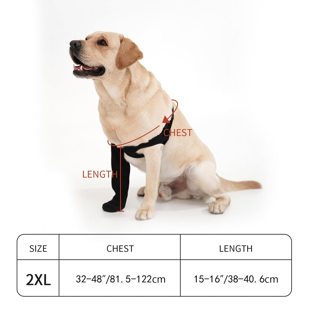 Yrenoer tear-resistant material resists chewing and scratching for lasting wear.