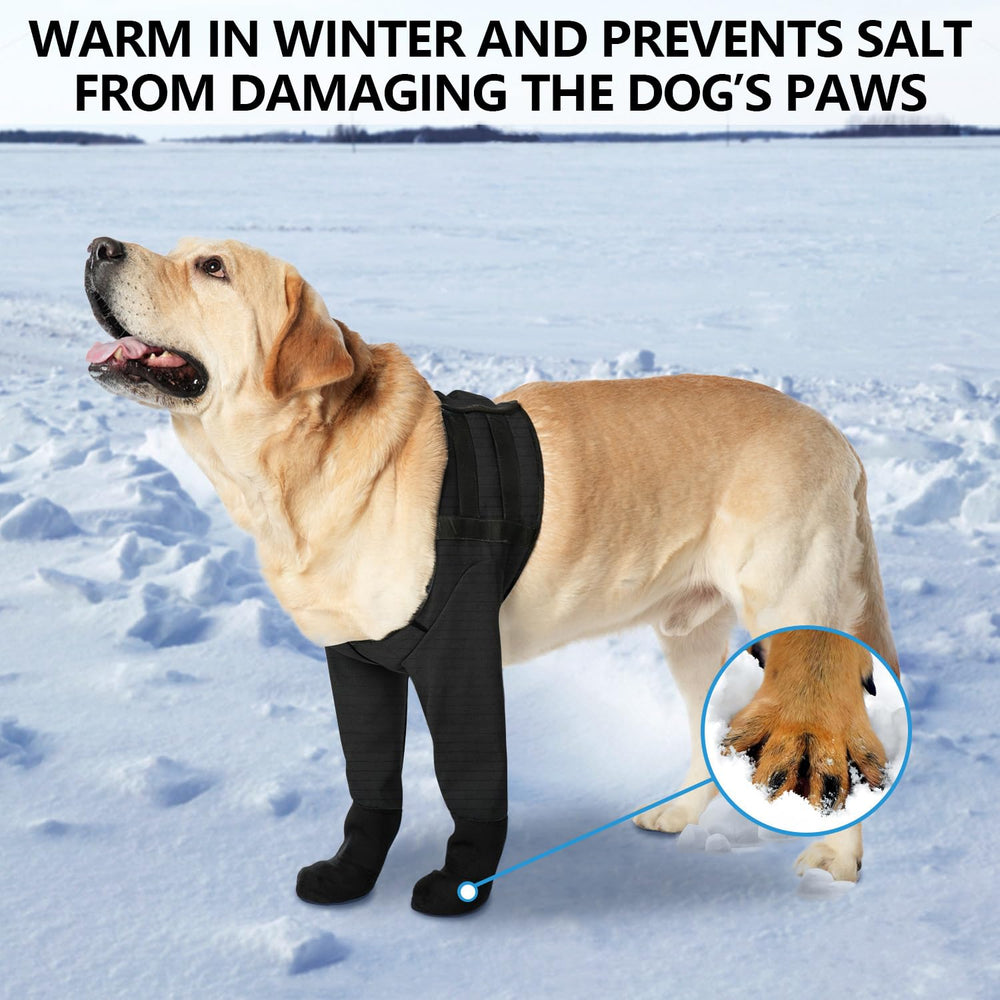 yrenoer dog socks boots secure-lock fastening system demonstrated for easy on-off and secure fit.