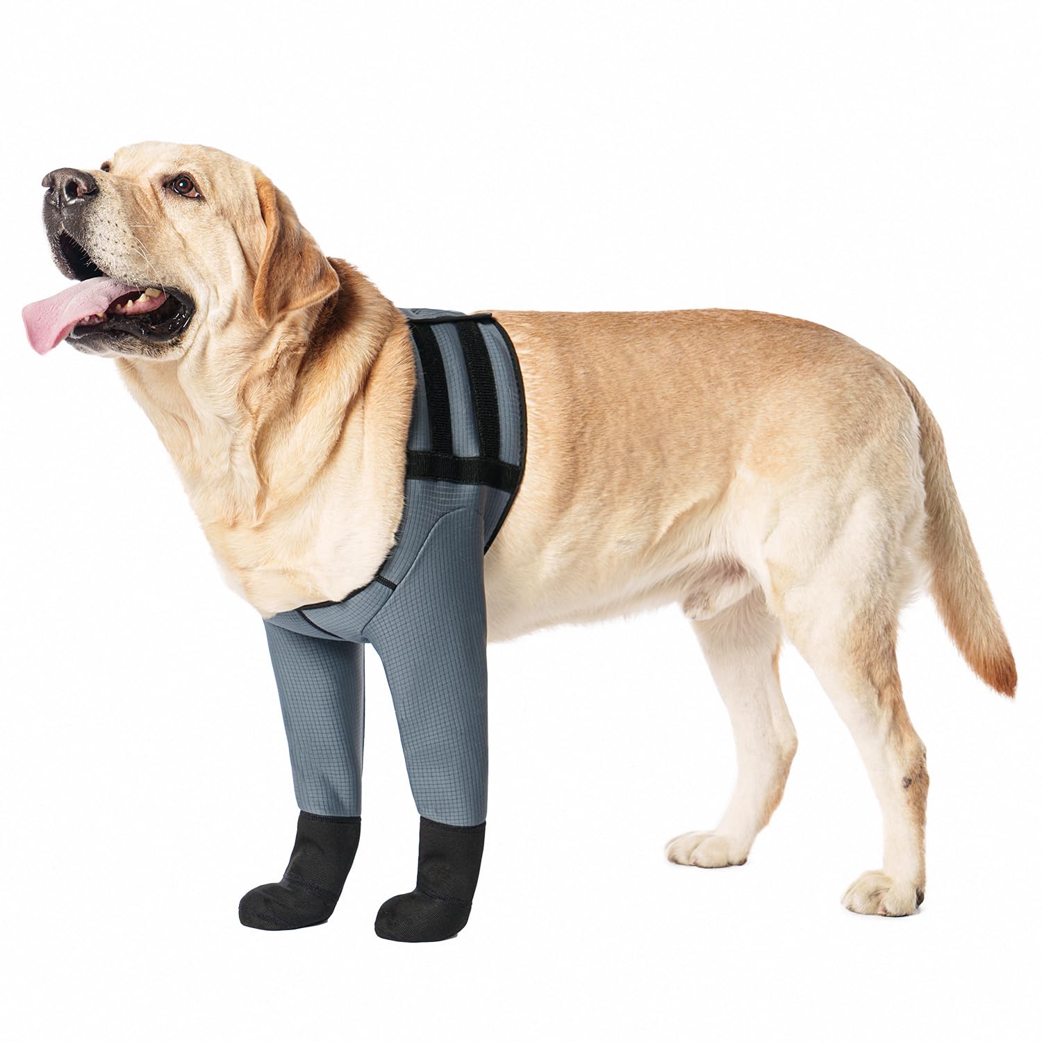 yrenoer dog socks boots waterproof anti-licking grey for indoor paw protection