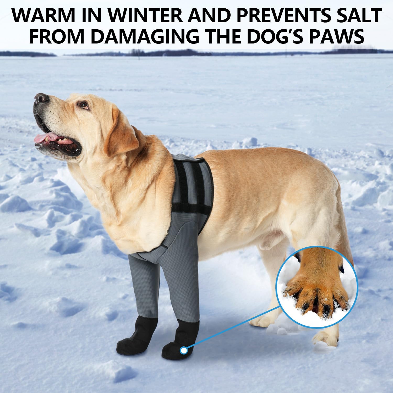 yrenoer dog socks gray patented vet-designed design for comfort