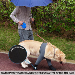 Yrenoer dog socks fastening close up demonstrates adjustable straps preventing self removal.