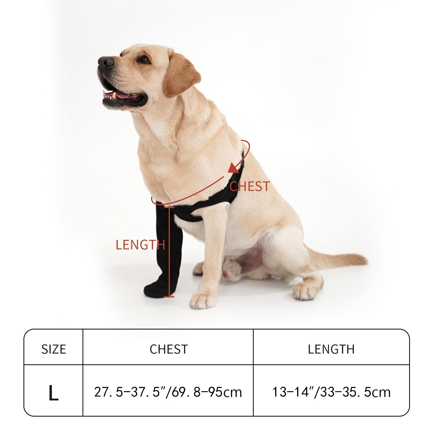 yrenoer patented design image emphasizes vet-informed concept and trusted construction.