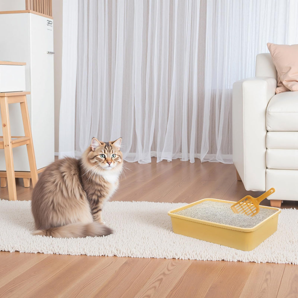 Ysglory 6-color litter box options for stylish multi-pet setups and easy color-coding.