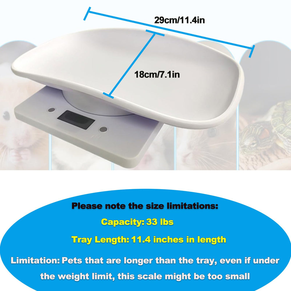 YTCYKJ compact scale battery compartment for quick setup.