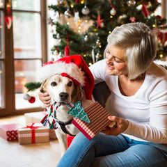 Yteseery candy cane rope toy offers teething relief and squeaky entertainment during fetch.