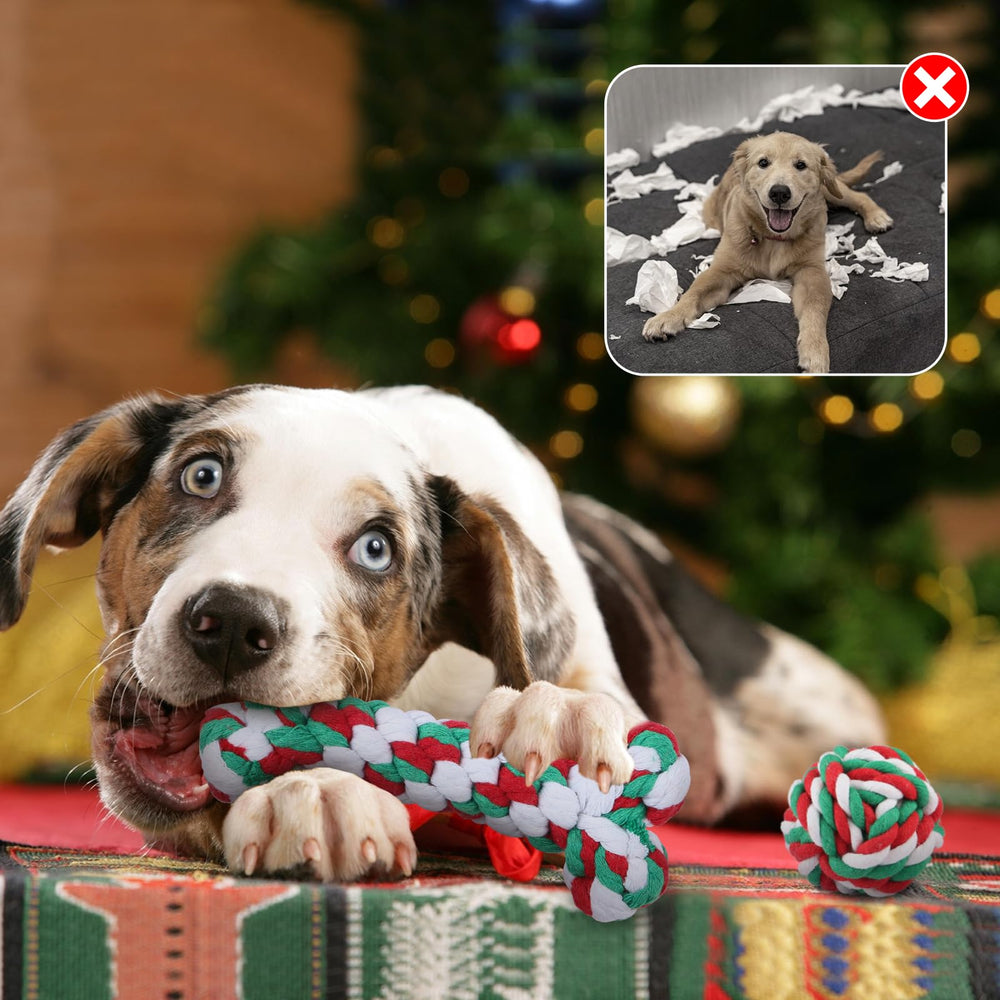 Yteseery bone-rope-toy supports solo chewing and tug-of-war games for dogs.