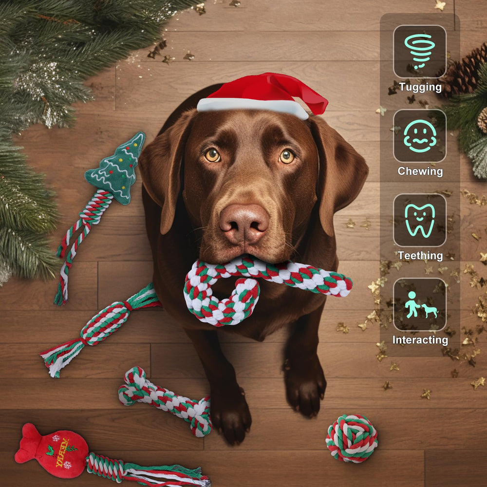 Yteseery surprise gift squeaky toy adds festive excitement during playtime.