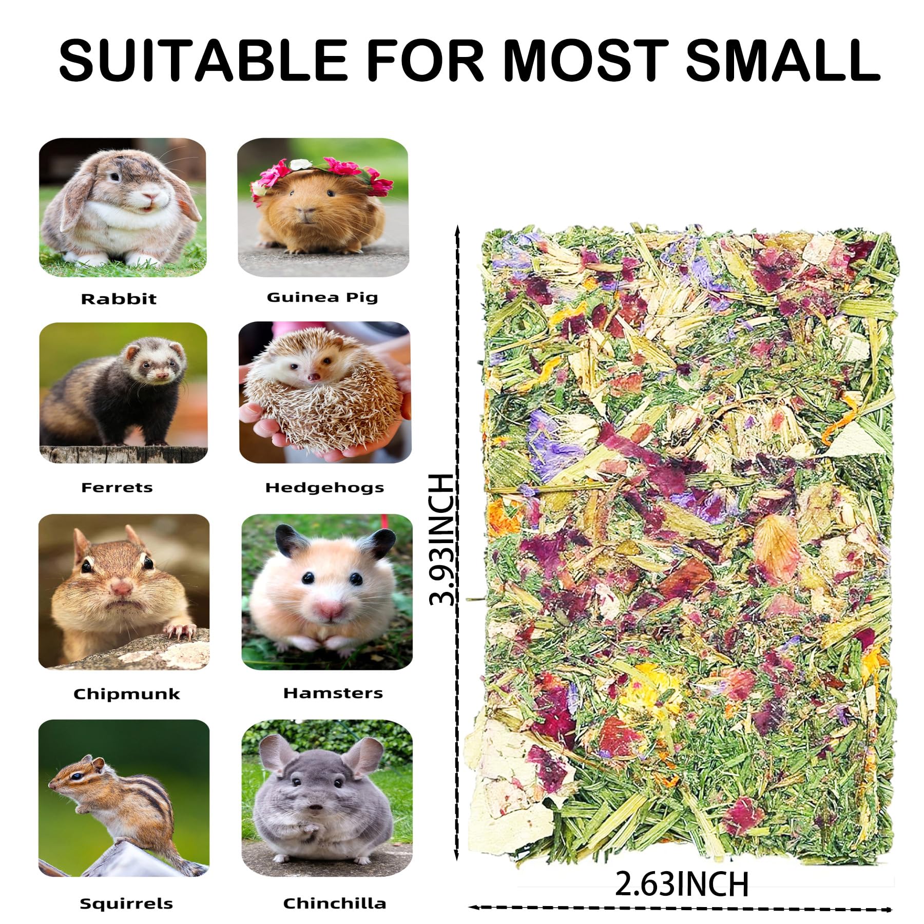 YTSKJ dental-health-benefits-chewing-action indicates potential teeth exercise for rodents.