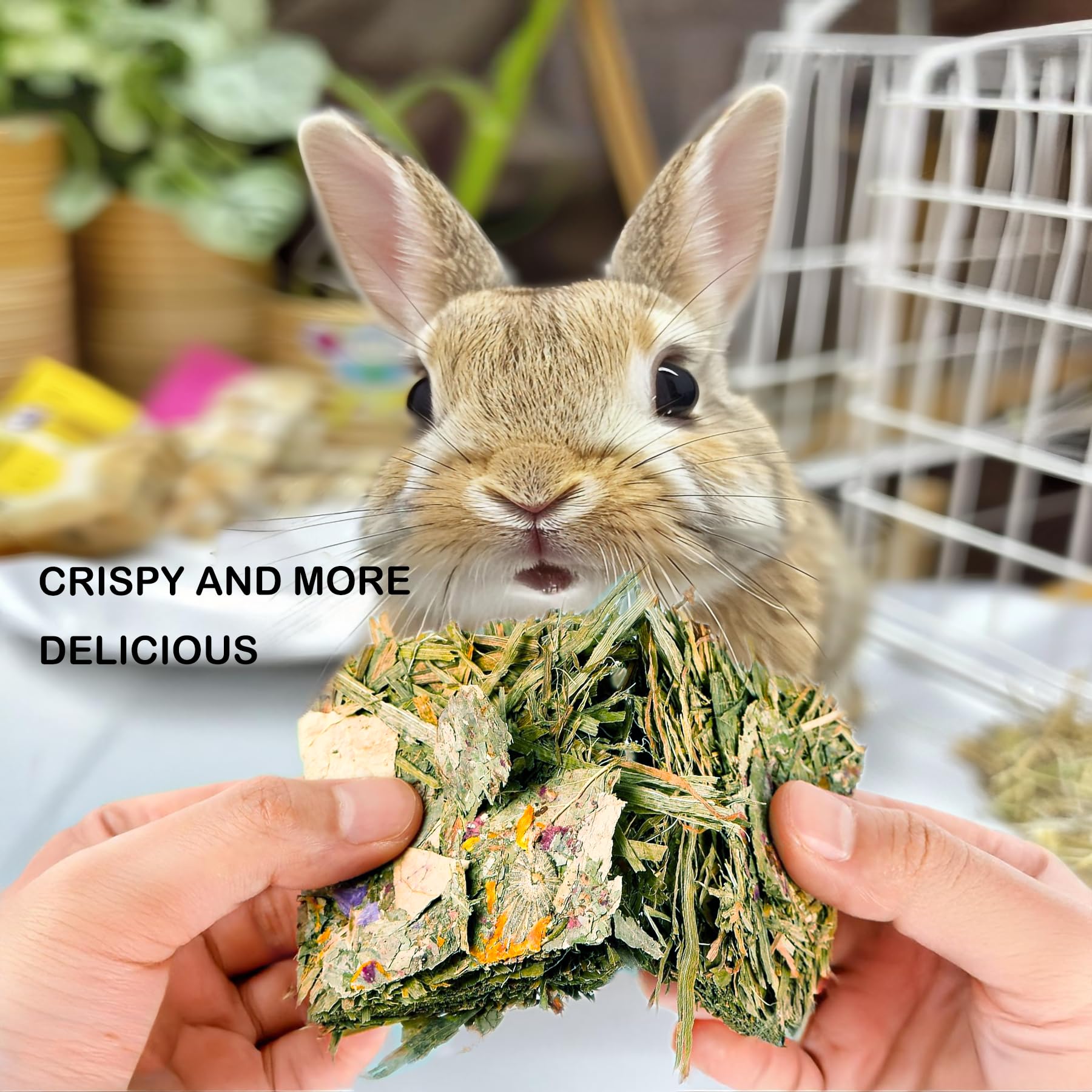 YTSKJ organic-timothy-hay-baked-sterilized shows safe, natural rabbit chew.