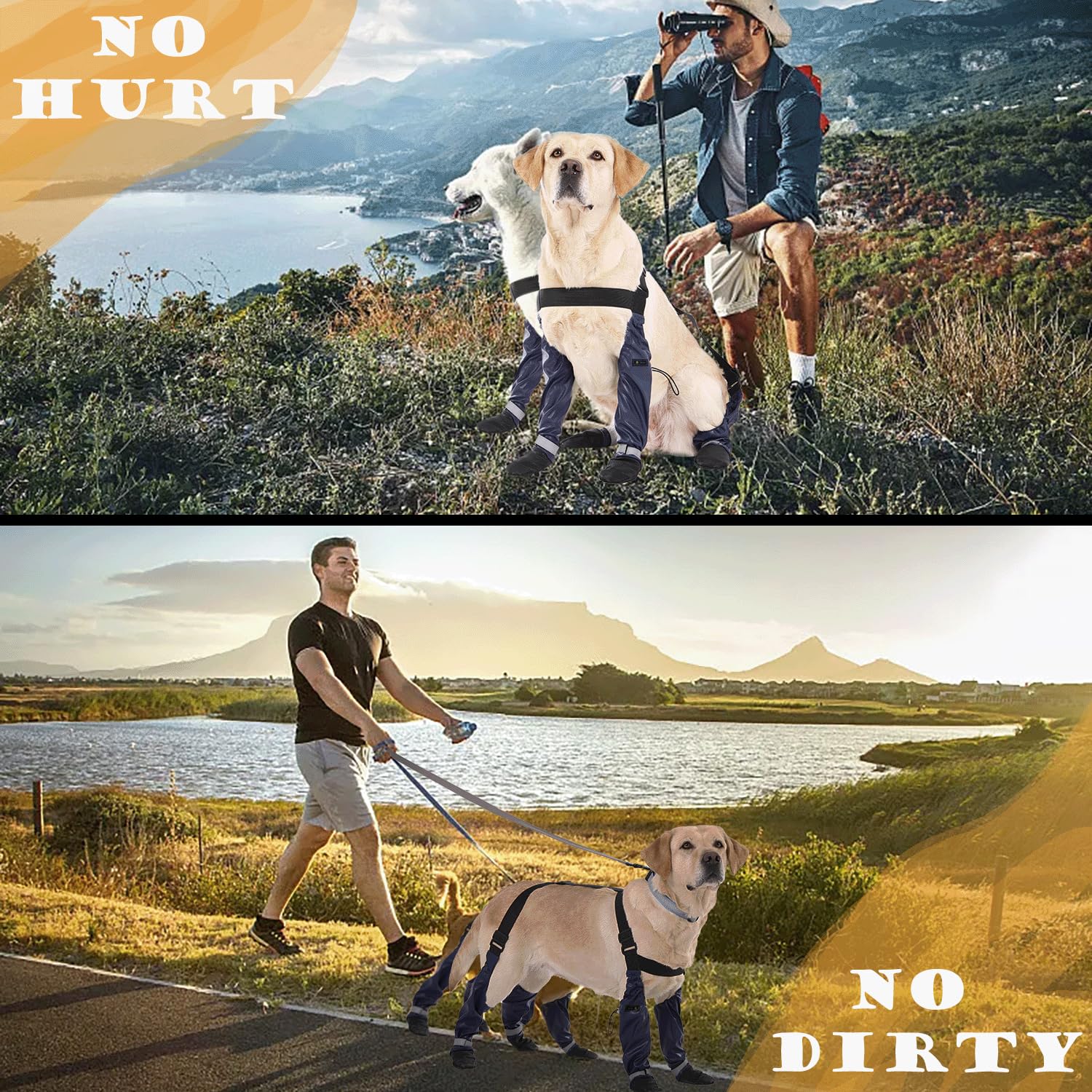 Yucca Winter Walks image highlighting snow protection for paws