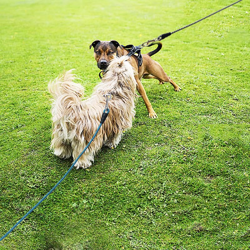 YUCFOREN dog tether multiple-length options from 15 to 75 feet