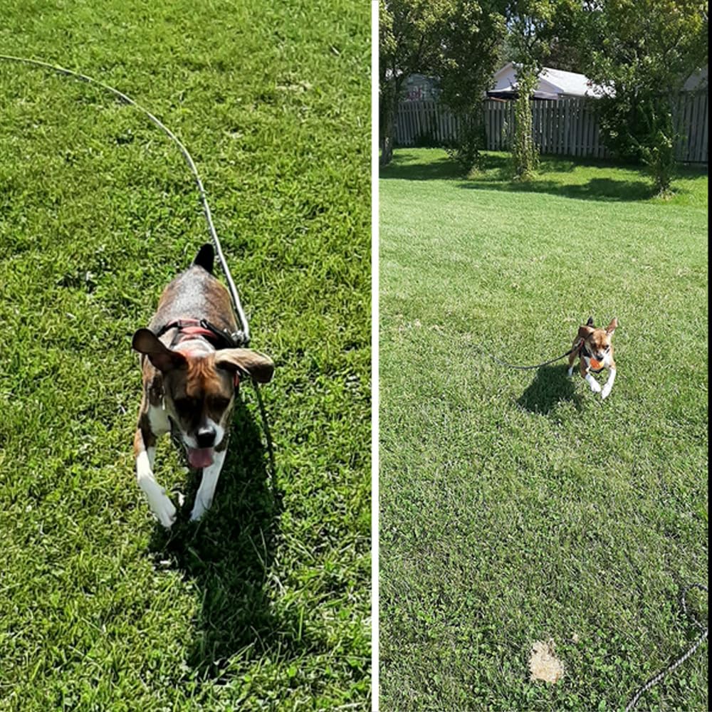 YUCFOREN recall training use case with long rope leash