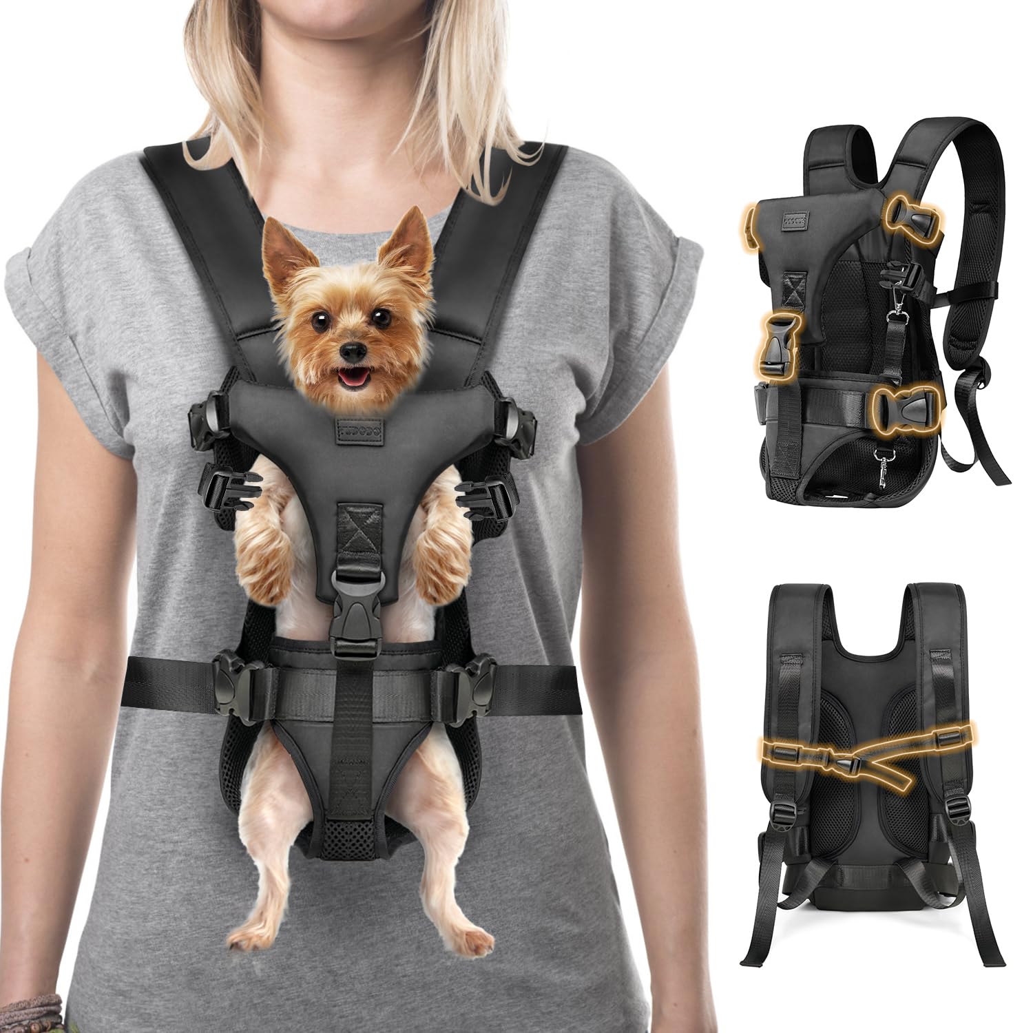 YUDODO dog front carrier back-view demonstrates secure fit for hiking with small dogs