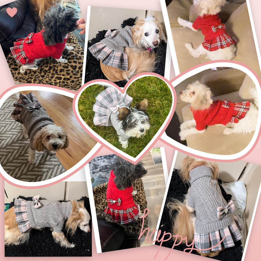 YUDODO puppy-wearing view demonstrates easy-on, versatile winter layer.