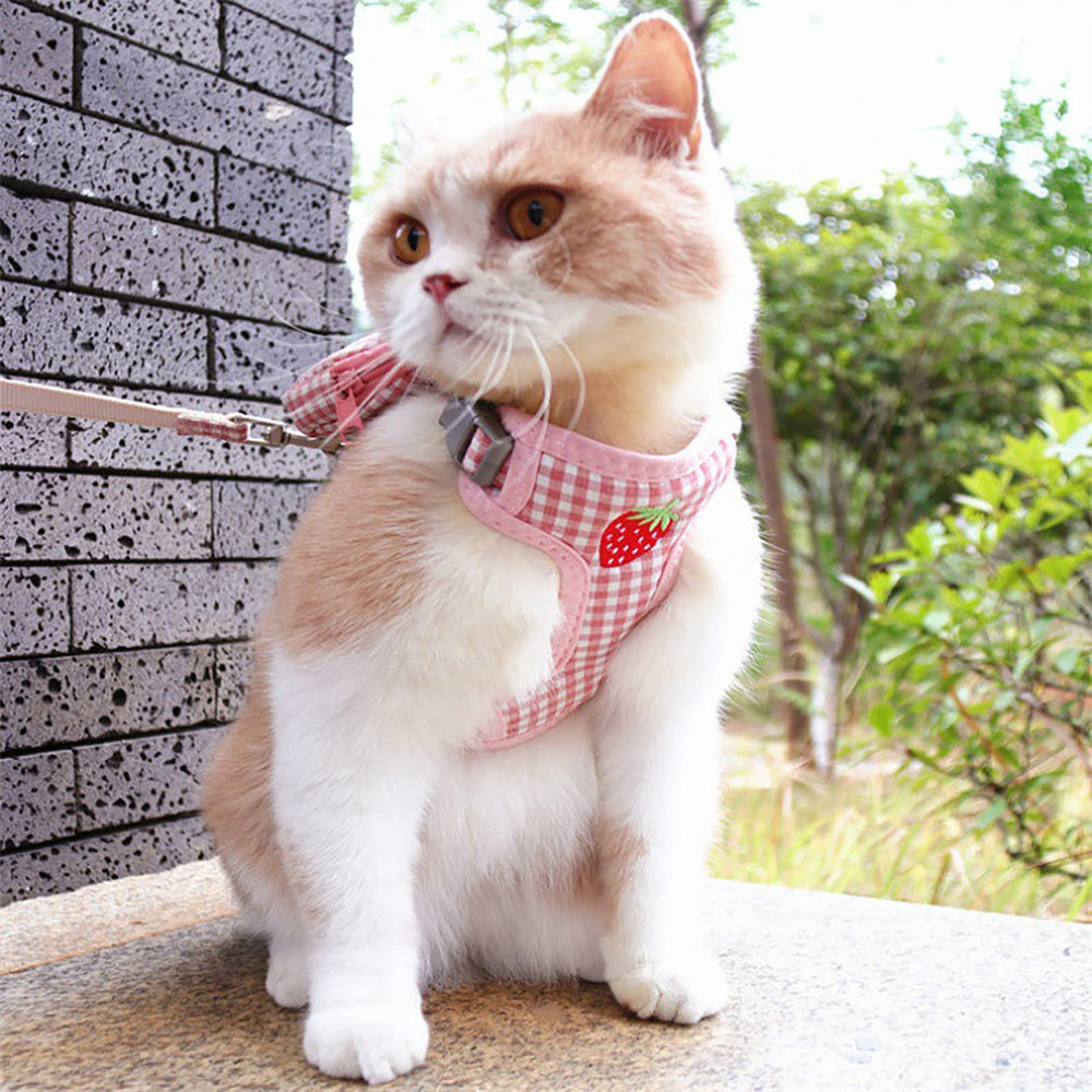 Yuehuam removable back pouch keeps keys and treats handy during walks.