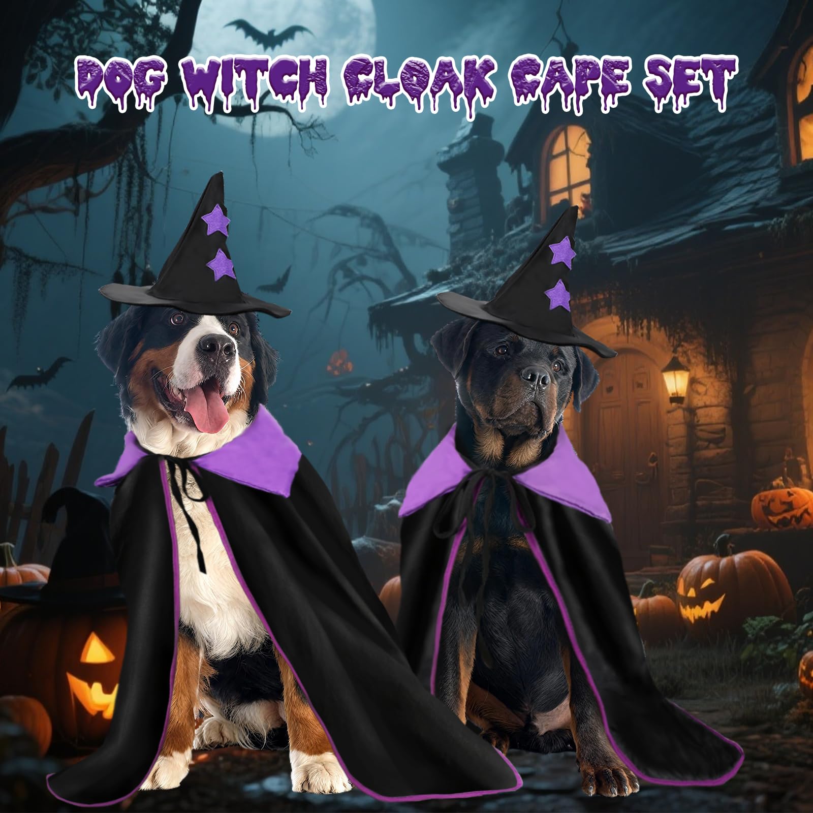 YUEPET costume set with hat and cloak assembled for party props