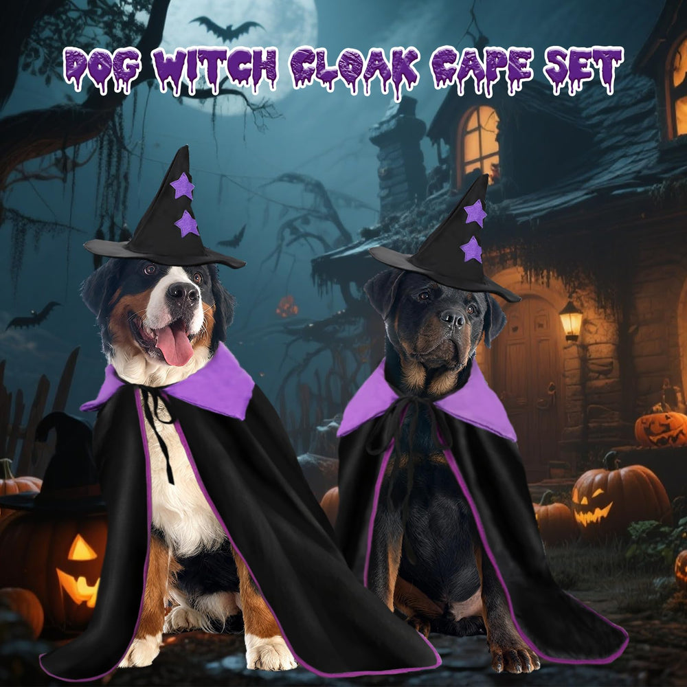 YUEPET costume set with hat and cloak assembled for party props