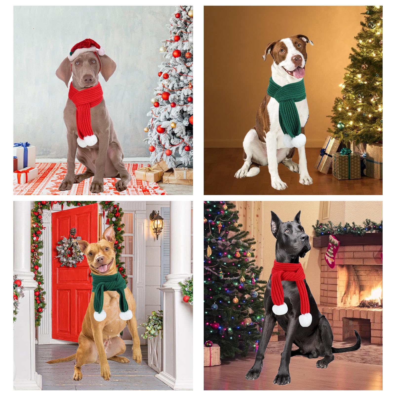 YUEPET dogs posing with scarves at Christmas party for photo-ready style