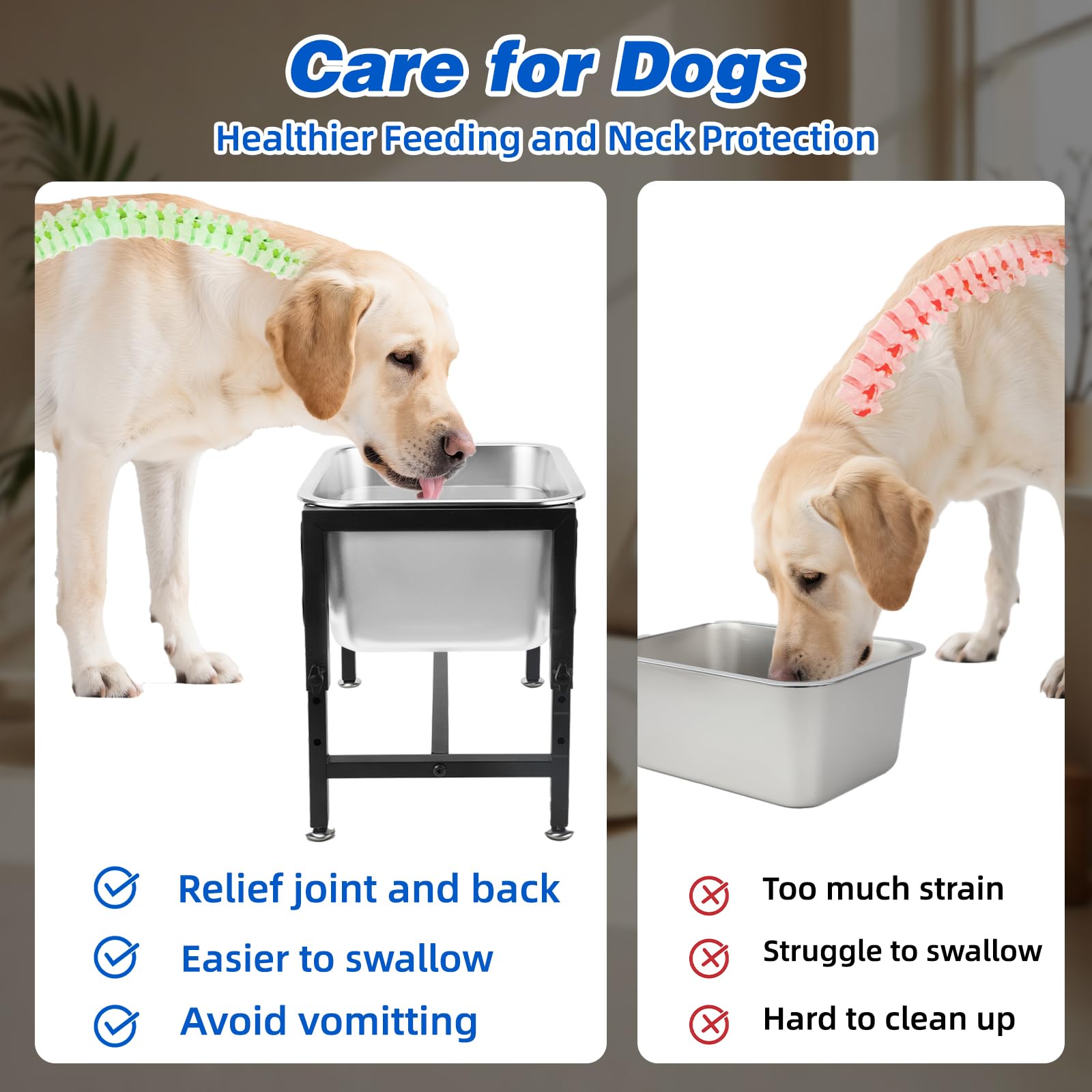 YUEPET durable stainless steel bowl resists rust and cleans easily.