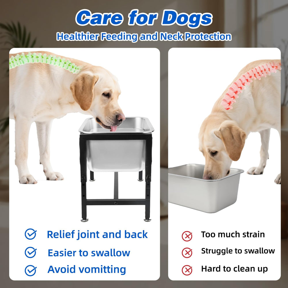 YUEPET durable stainless steel bowl resists rust and cleans easily.