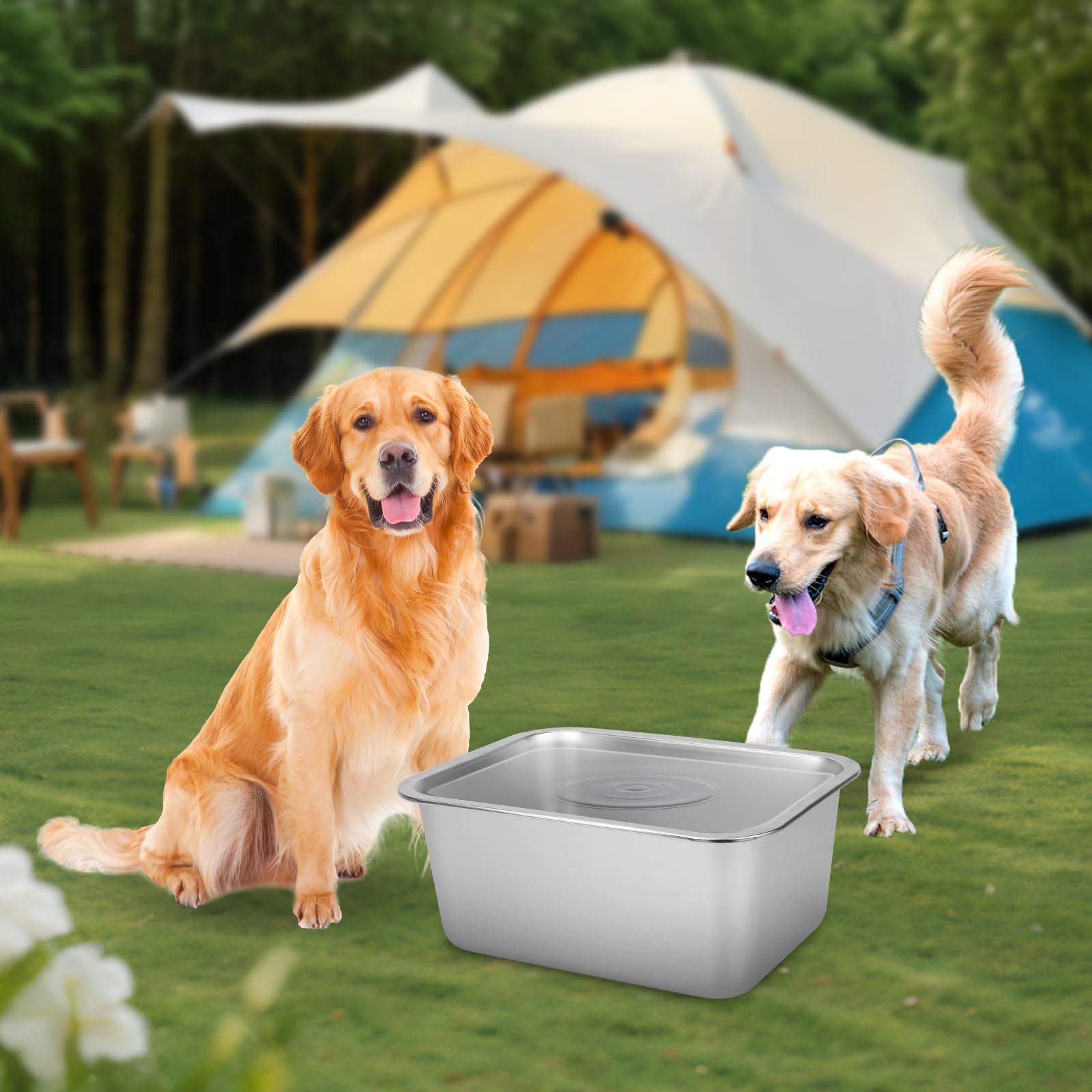 YUEPET easy-clean stainless steel bowl is quick to wipe down or rinse.