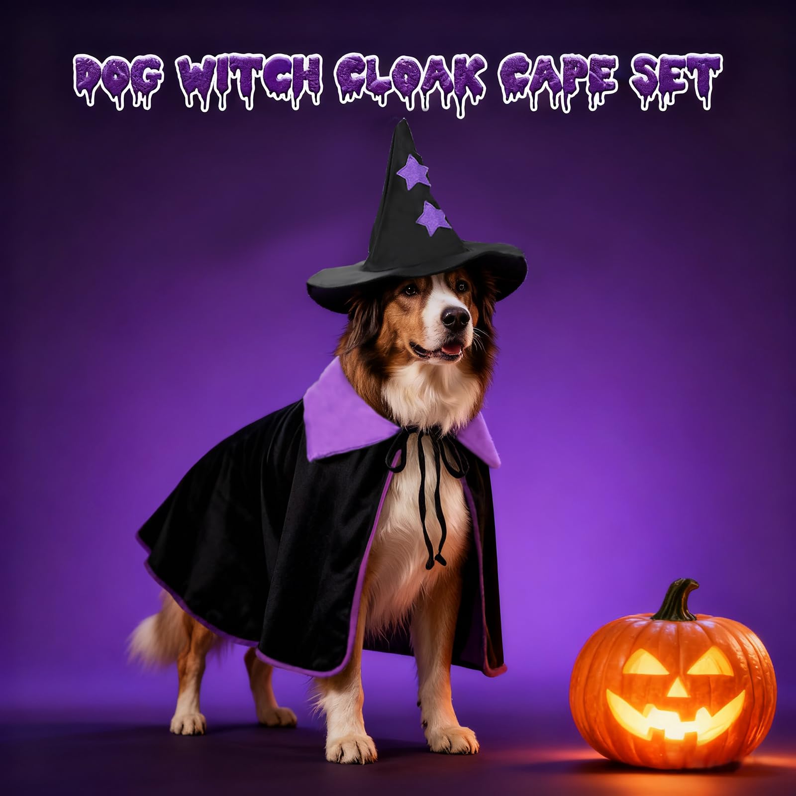 YUEPET Great Dane in Halloween costume ready for parade