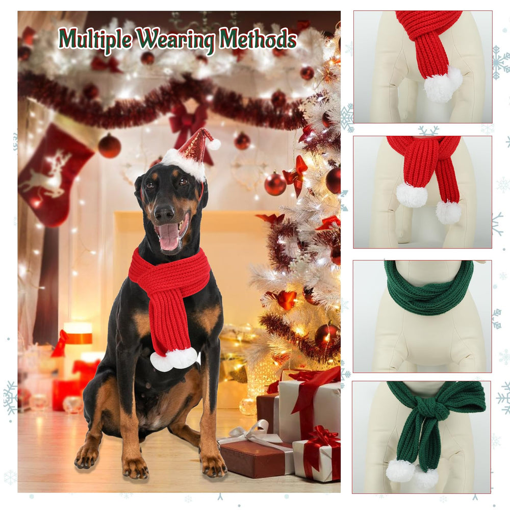 YUEPET dog wearing red scarf during winter walk for style and warmth