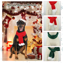 YUEPET dog wearing red scarf during winter walk for style and warmth