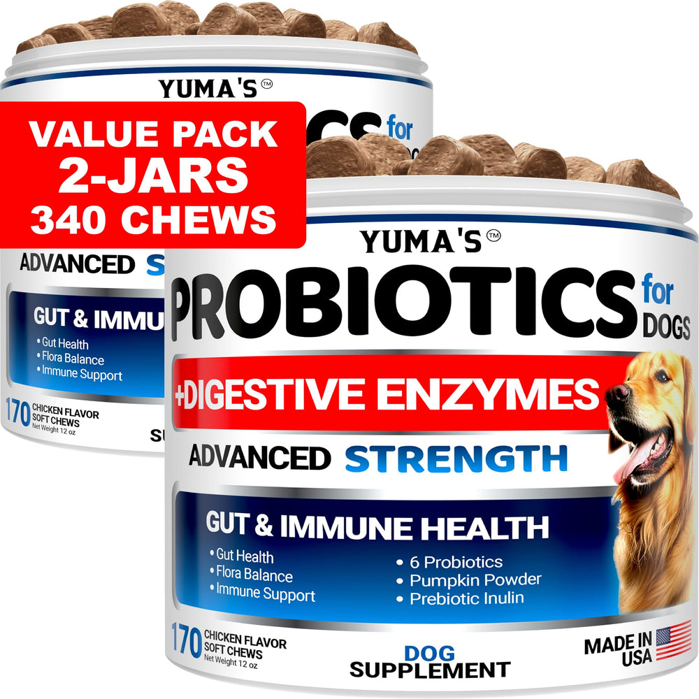 YUMA'S 2-pack probiotics for dogs chews pack closeup for gut support