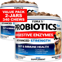 YUMA'S 2-pack probiotics for dogs chews pack closeup for gut support