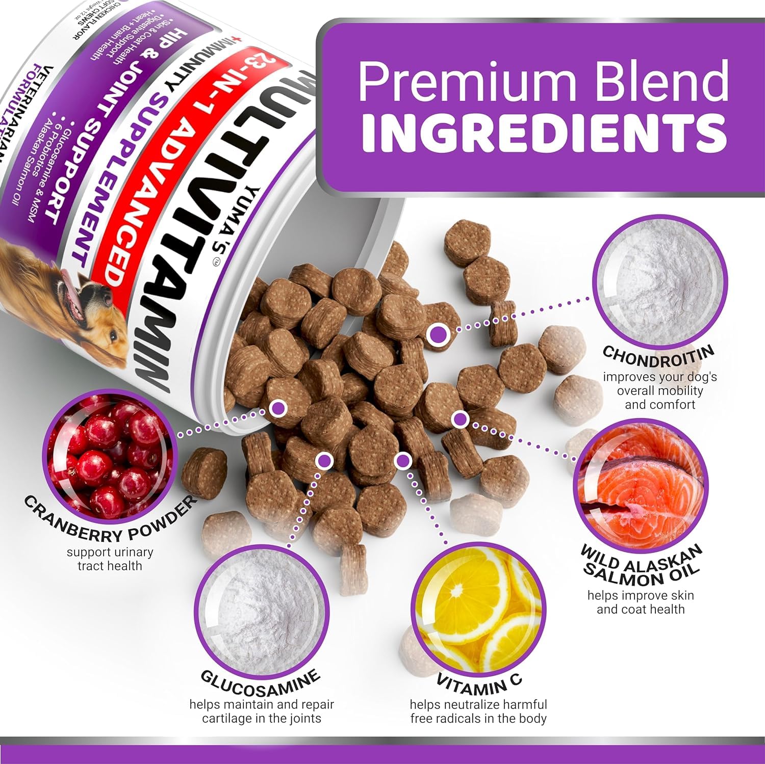 YUMA'S probiotics-enhanced vitamins aid digestion and immune function.