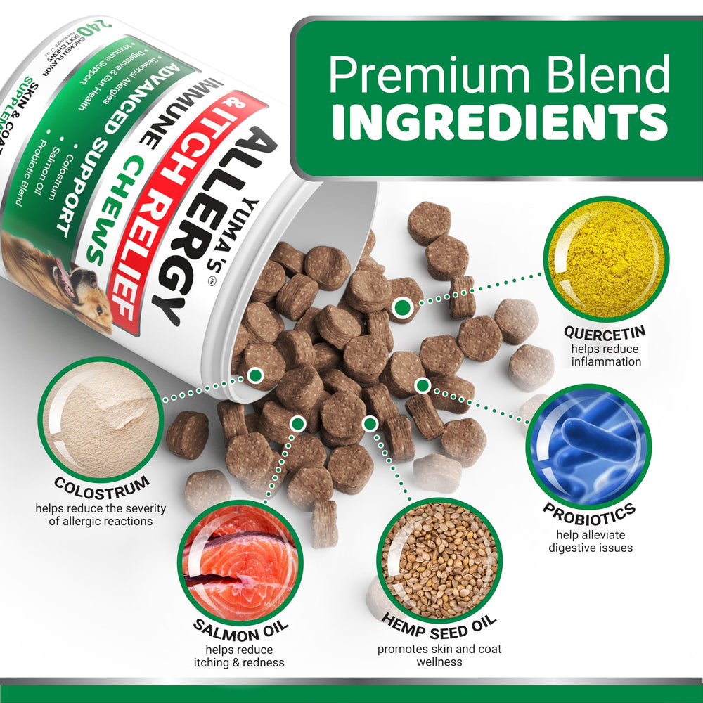 YUMA'S Dog Allergy Relief Chews bottle on shelf suggests convenient 240-treat supply