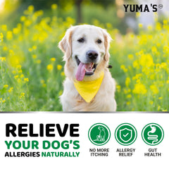 YUMA'S Dog Allergy Relief Chews usage shown as daily treat addition.