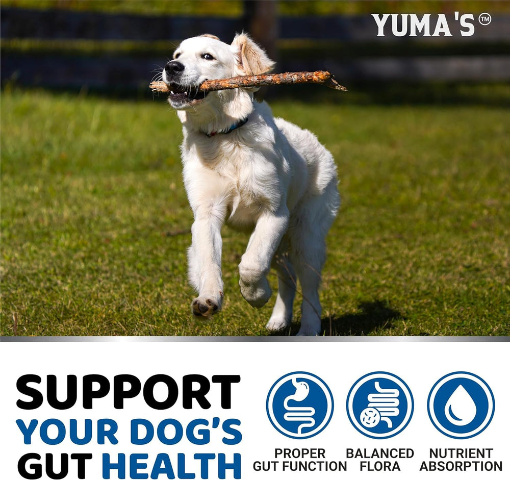 YUMA'S dog digestive health chews on countertop suggesting easy daily routine