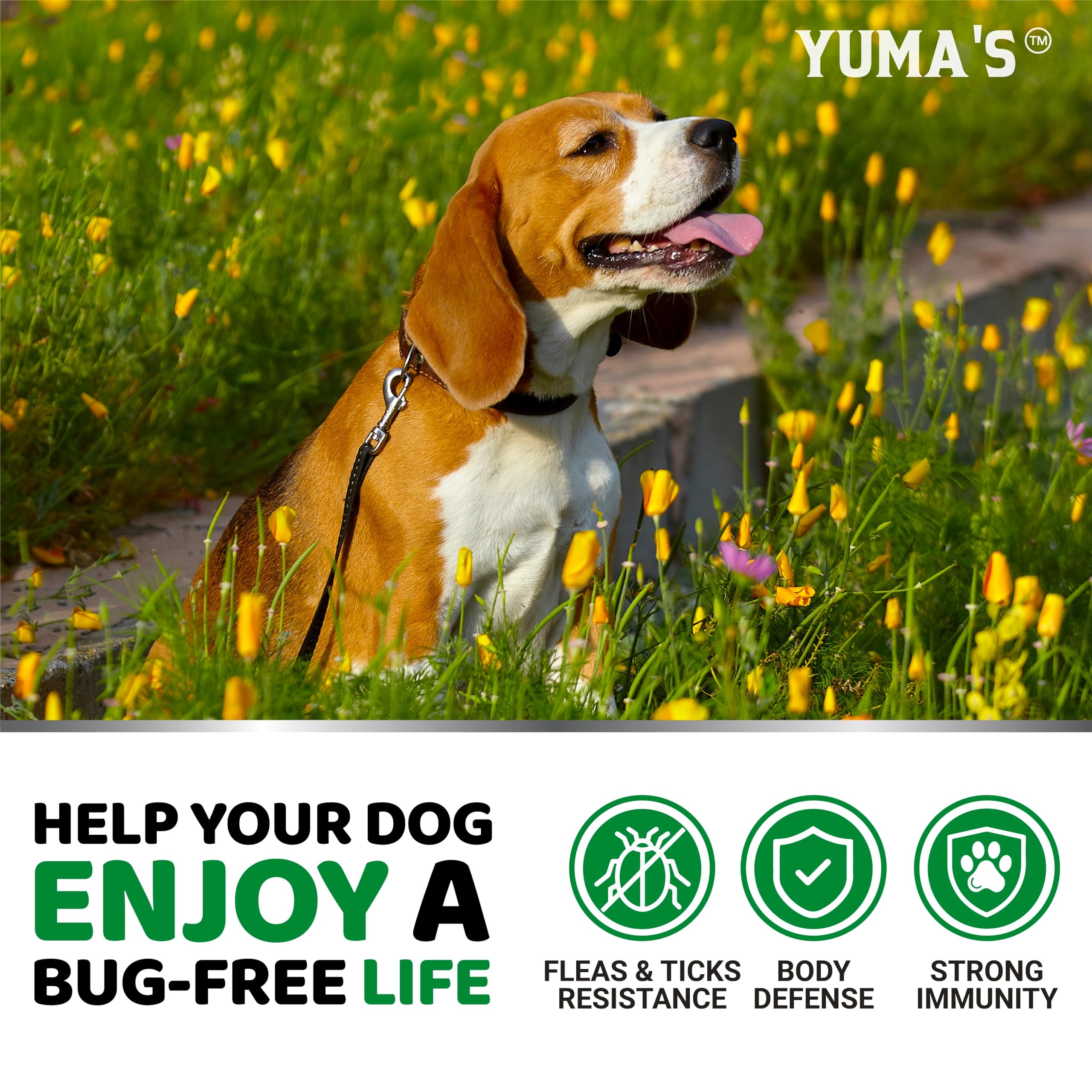 YUMA'S chews are suitable for all breeds and ages
