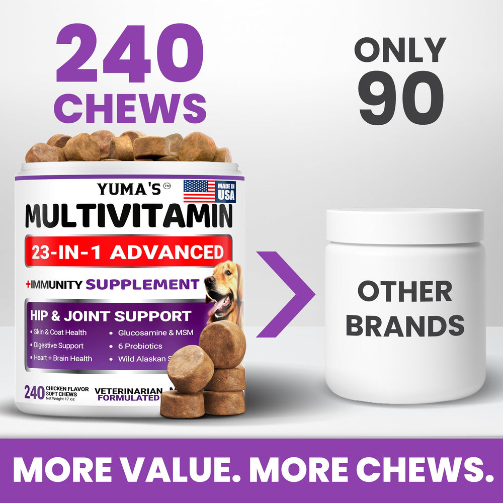 YUMA'S Dog Multivitamin dog sniffing image promotes daily vitality.