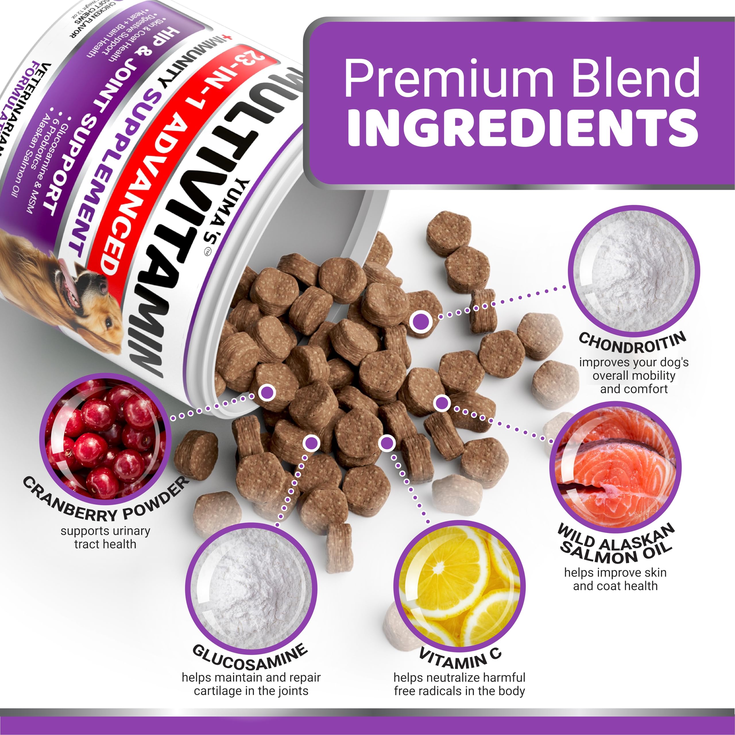 YUMA'S dog multivitamin glucosamine visual emphasizes joint support.