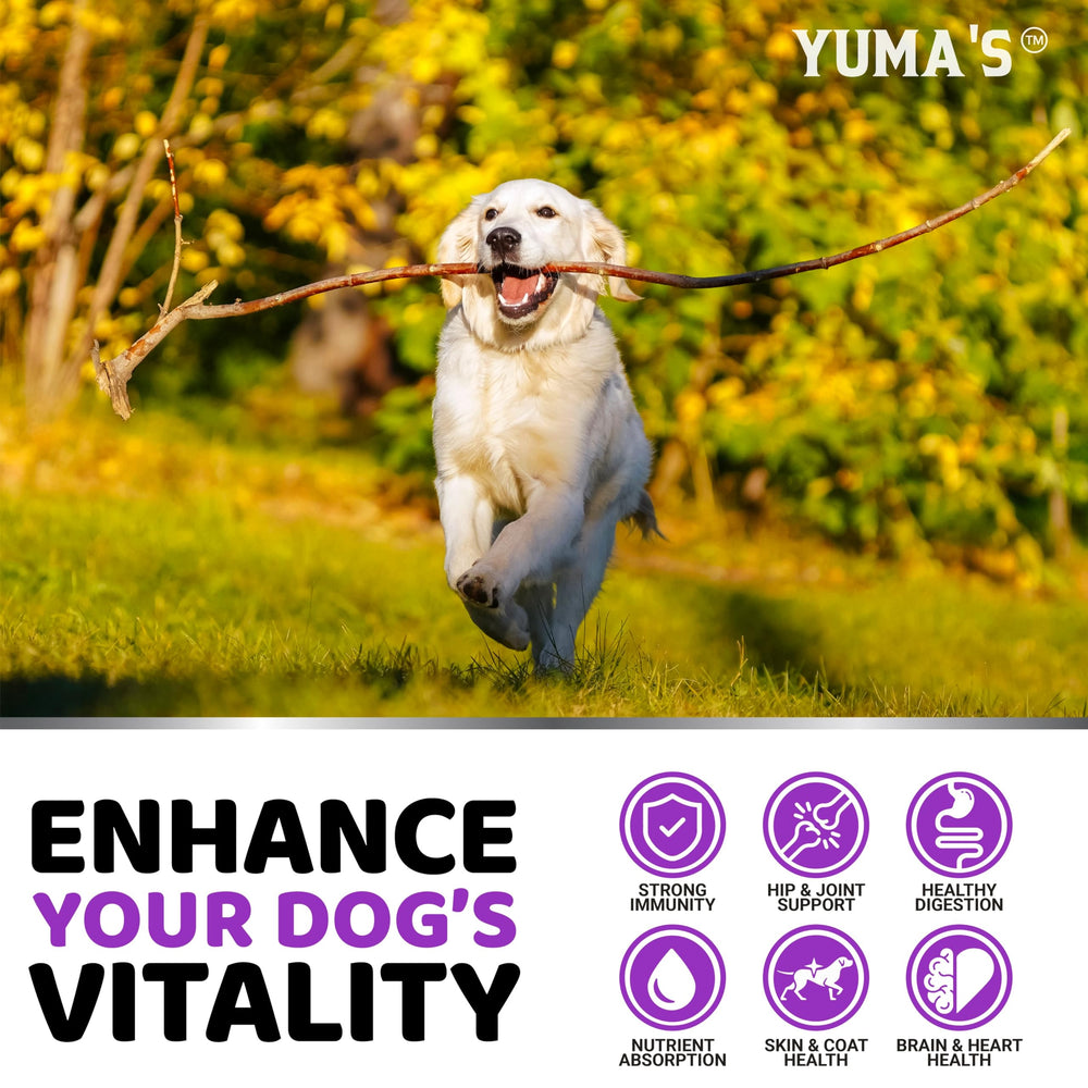 YUMA'S Dog Multivitamin aids immune and skin health for dogs.