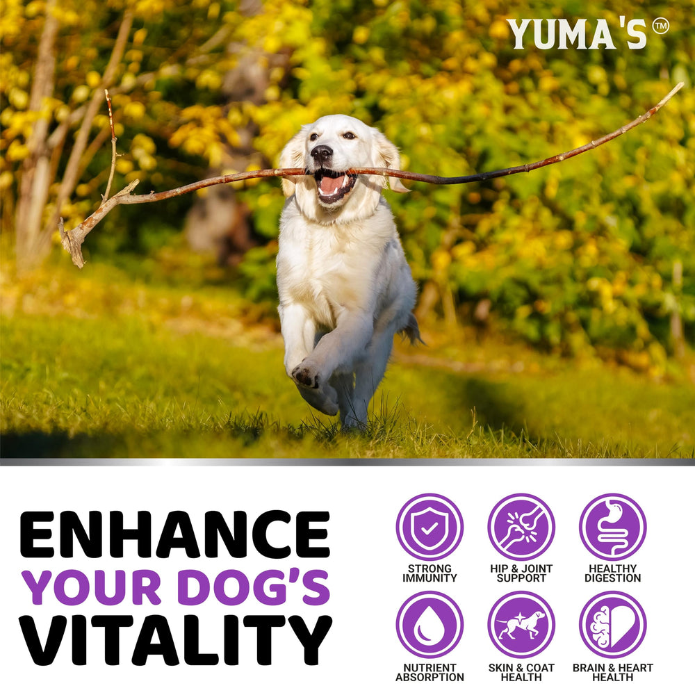 YUMA'S dog multivitamin probiotics visual shows gut health benefits.