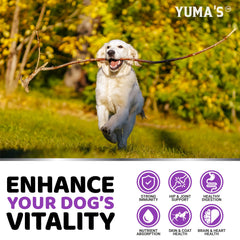 YUMA'S dog multivitamin probiotics visual shows gut health benefits.