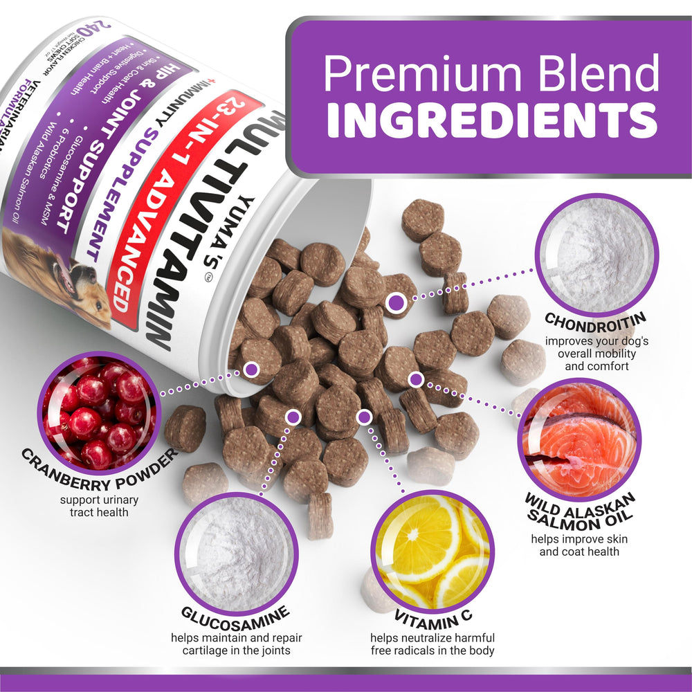 YUMA'S Dog Multivitamin probiotics blend supports digestive health.