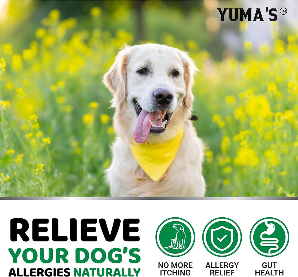 YUMA'S dog paw closeup suggests relief from paw licking with regular use