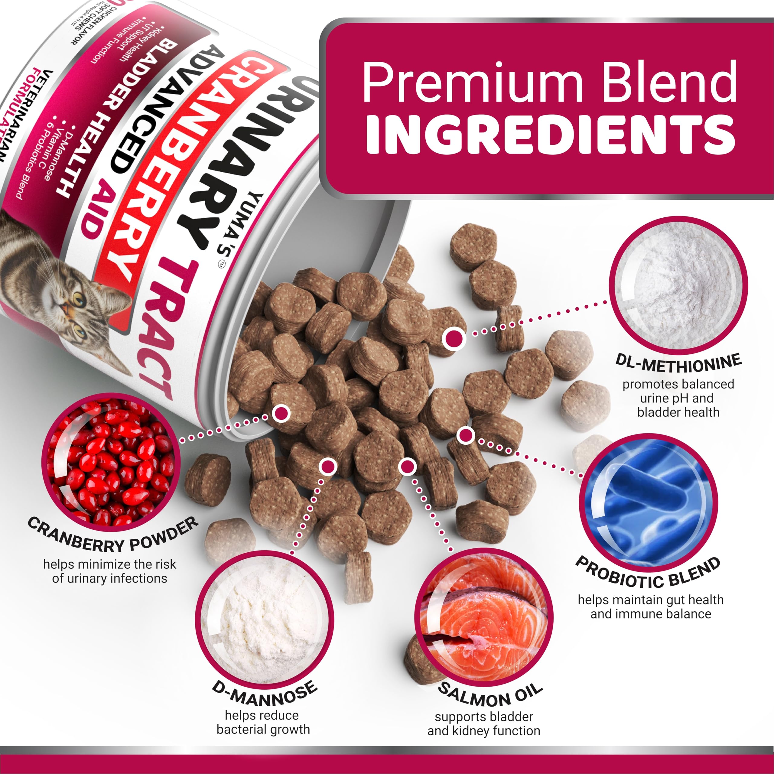 YUMA'S GATO ingredientes naturales: fortalecen inmunidad y salud digestiva.